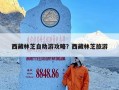 西藏林芝自助游攻略？西藏林芝旅游